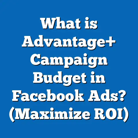 What is Advantage+ Campaign Budget in Facebook Ads? (Maximize ROI)