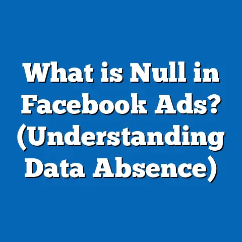 What is Null in Facebook Ads? (Understanding Data Absence)