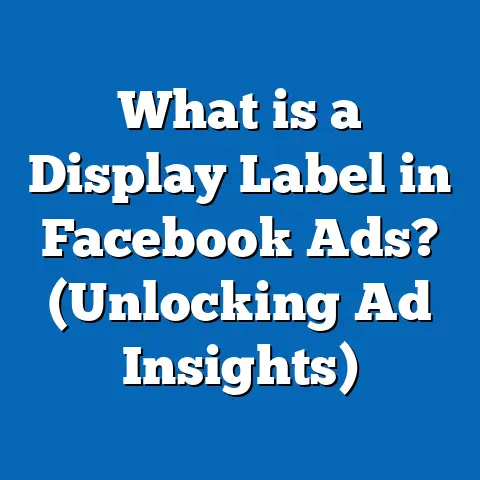 What is a Display Label in Facebook Ads? (Unlocking Ad Insights)