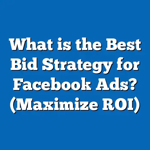 What is the Best Bid Strategy for Facebook Ads? (Maximize ROI)