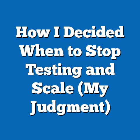 How I Decided When to Stop Testing and Scale (My Judgment)