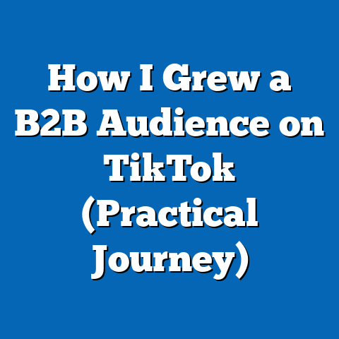 How I Grew a B2B Audience on TikTok (Practical Journey)