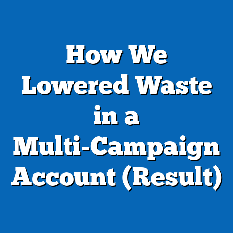 How We Lowered Waste in a Multi-Campaign Account (Result)