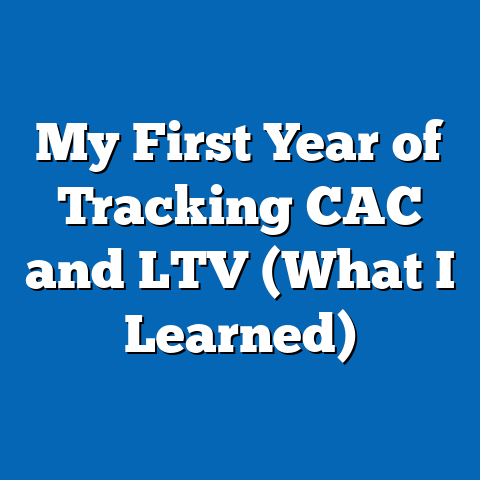 My First Year of Tracking CAC and LTV (What I Learned)