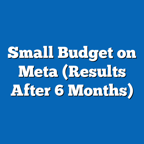 Small Budget on Meta (Results After 6 Months)