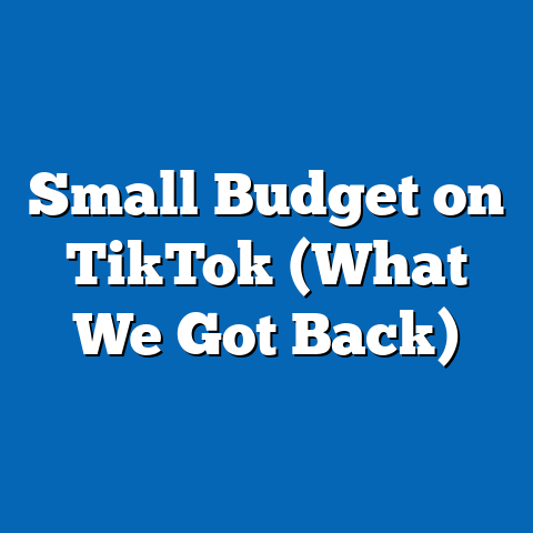 Small Budget on TikTok (What We Got Back)