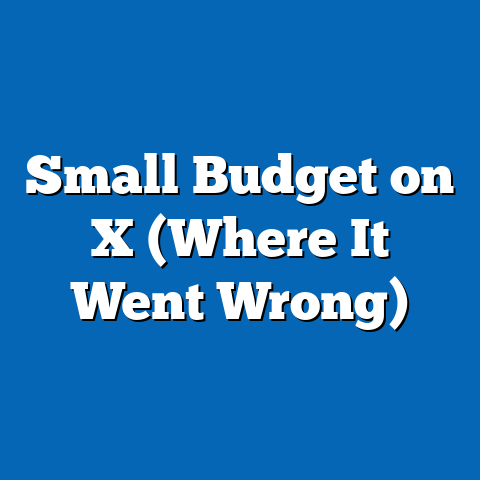 Small Budget on X (Where It Went Wrong)