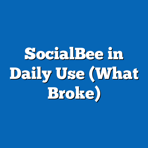 SocialBee in Daily Use (What Broke)