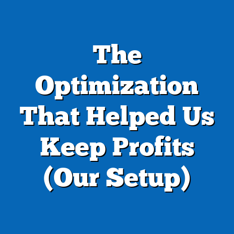The Optimization That Helped Us Keep Profits (Our Setup)