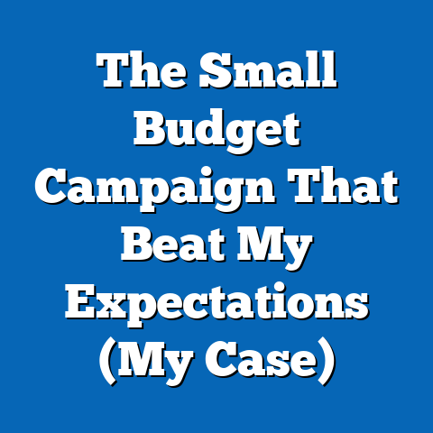 The Small Budget Campaign That Beat My Expectations (My Case)