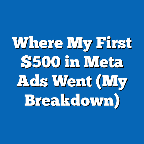 Where My First $500 in Meta Ads Went (My Breakdown)